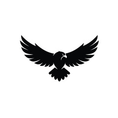eagle in flight