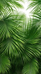 Lush green palm fronds overlap, creating a tropical backdrop, texture, lush, illustration
