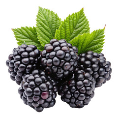 Close-Up of Fresh Blackberries with Leaves, Ideal for Healthy Eating, Natural Food, and Organic Diet Design Projects
