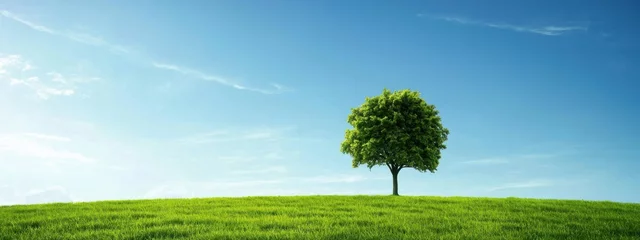 Fototapete Rund Lush Green Tree on a Hill Under a Clear Blue Sky in Daylight © Exnoi