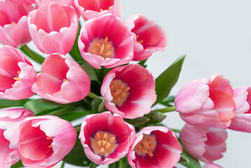 Mothers day, Valentines Day, Birthday celebration concept. Greeting card. Beautiful Bouquet of pink delicate tulips. Copy space for text, top view. Spring background. March 8, International Womens Day