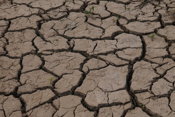 Rivers are drying up due to climate change. River beds are cracking under the scorching sun, leaving behind dry, parched soil. Climate change highlights the importance of protecting natural resources.