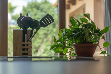 gardening tools on a wooden table