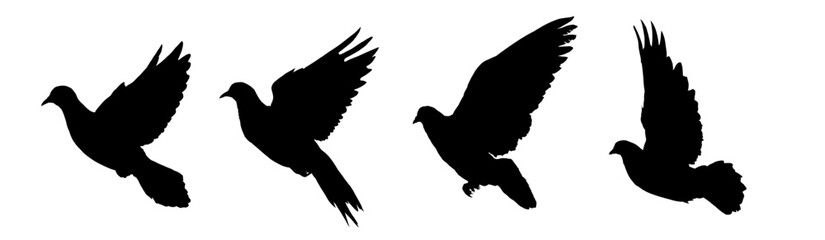 Silhouette of a flying pigeon, dove of peace - vector illustration