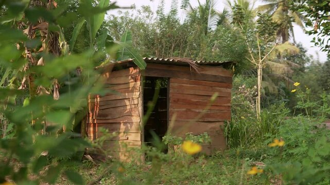 Temporary Wooden old poor hut in the woods
