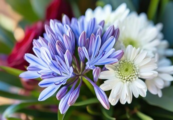 Vibrant bouquet of colorful flowers featuring delicate blue petals, white blooms, and deep red accents creating a lively and charming floral arrangement