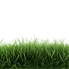 Obraz premium Lush green grass vibrant nature abstract background joyful spring