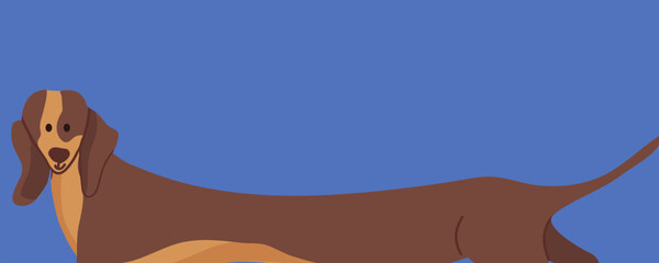 Long dachshund with tail. Head silhouette with funny face.  A cute kawaii character. Kawaii animal. A collection of pets. Flat design. Blue background.