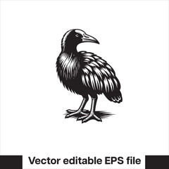 vector  Swamphen black and white, silhouette, logo and t-shirt