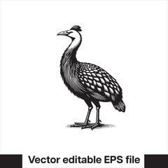 vector  Swamphen black and white, silhouette, logo and t-shirt