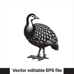 vector  Swamphen black and white, silhouette, logo and t-shirt