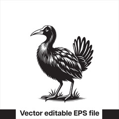 vector  Swamphen black and white, silhouette, logo and t-shirt