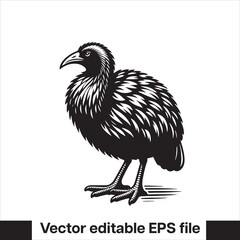 vector  Swamphen black and white, silhouette, logo and t-shirt