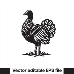 vector  Swamphen black and white, silhouette, logo and t-shirt