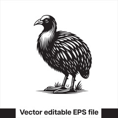 vector  Swamphen black and white, silhouette, logo and t-shirt