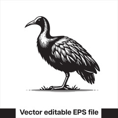 vector  Swamphen black and white, silhouette, logo and t-shirt