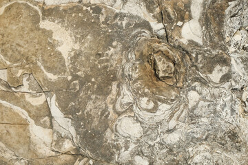 Abstract pattern and texture background of limestone surface.For graphic design, 3D rendering or banner background