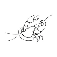 Single Line Crayfish Drawing Aquatic Crustacean Art Minimalist Design