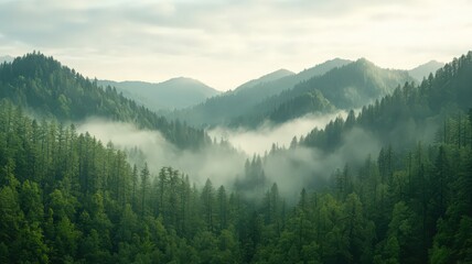 Fototapeta premium Misty Green Mountain Range at Sunrise