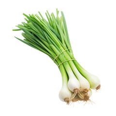 Scallion on white background