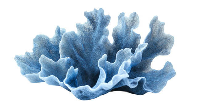 Blue coral cut out. Isolated on a transparent background.
