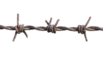 Set of barbed wires cut out. Isolated on a transparent background.