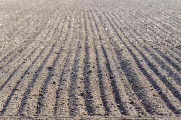 świeżo zaorane pole na wiosnę © Henryk Niestrój