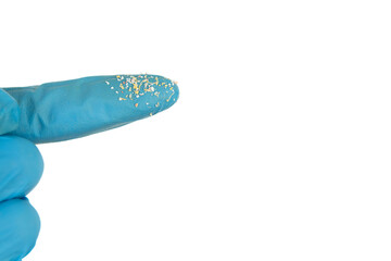 Microplastic, Researcher holding small pieces of plastic microparticles finger closely with nitrile glove. On white background with copy space.