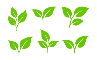 Set of green leaf illustration