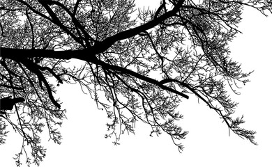 árbol, atardecer, paisaje, silueta, naturaleza, cielo, amanecer, sol, ilustración, vector, árbol, bosque