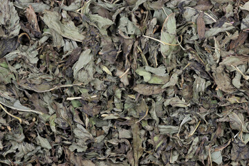 peppermint tea leaves for background use