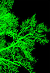 árbol, atardecer, paisaje, silueta, naturaleza, cielo, amanecer, sol, ilustración, vector, árbol, bosque