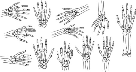 Graphic detailed black and white human skeleton bone hands. Isolated on white background. Vector icon set.
