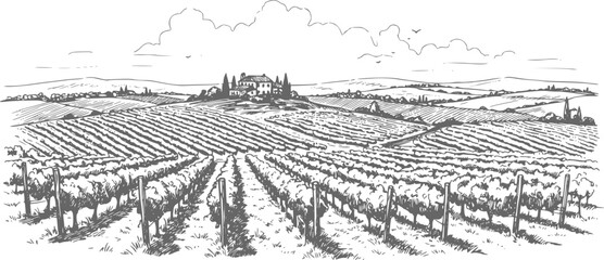 Hand draw vineyard tuscany landscape farm field in monochrome sketch style. Vintage panoramic vector illustration.
