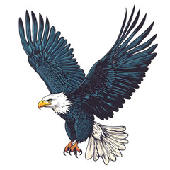 Obraz premium Majestic Bald Eagle in Flight