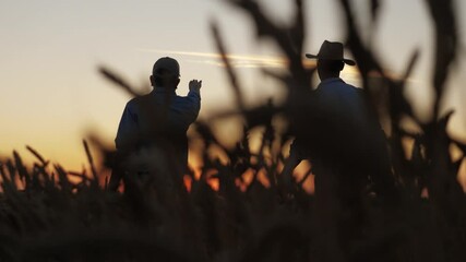 Two farmers celebrate wheat field, Golden sunset over bountiful harvest, Joyful farmer raising arm triumph, Wheat fields stretch horizon, Evening glow enhances rural scene, Successful harvest brings