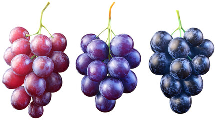 fresh grapes