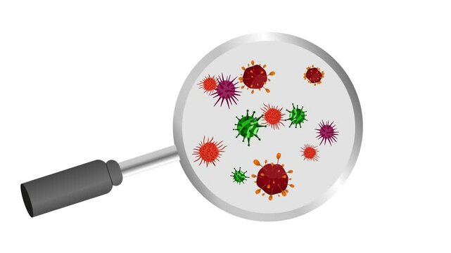 Video animation Virus bacterial infection in zoom view. Microorganism in laboratory diagnosis