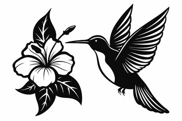 hummingbird and hibiscus line art silhouette vector illustration