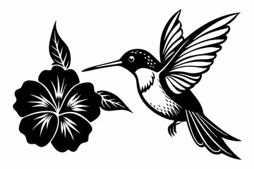 hummingbird and hibiscus line art silhouette vector illustration