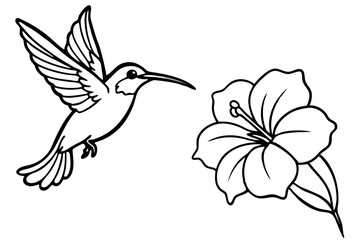 Obraz premium hummingbird and hibiscus line art silhouette vector illustration