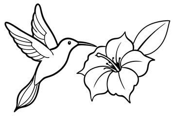 hummingbird and hibiscus line art silhouette vector illustration
