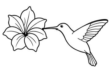 hummingbird and hibiscus line art silhouette vector illustration