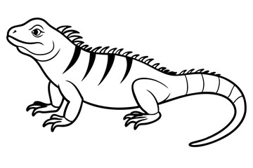 iguana line art silhouette vector illustration