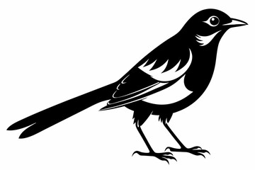 mockingbird line art silhouette vector illustration