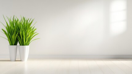 Minimalist Home Decor: Two Green Plants in White Pots Against a Bright White Wall