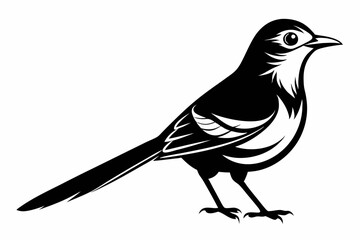 mockingbird line art silhouette vector illustration