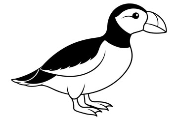 puffin bird line art silhouette vector illustration