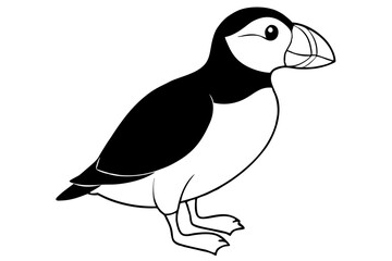 puffin bird line art silhouette vector illustration