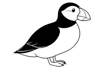 puffin bird line art silhouette vector illustration